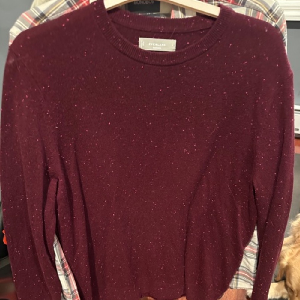 EVERLANE Cashmere long sleeved Men's Sweater